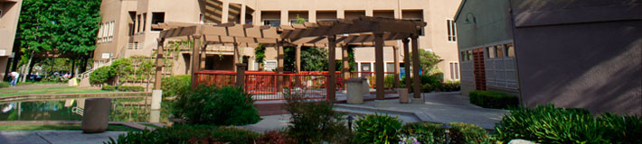 Denny Fang Building Outside