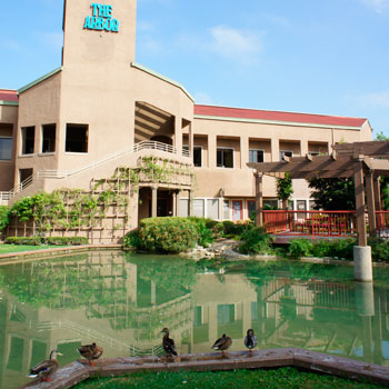 Pond in Front of Outside Building