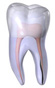 Vertical Root Fracture